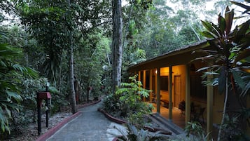 高级小屋 (Plus) | 客房景观