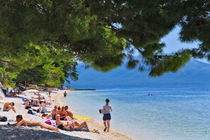 Playa en los alrededores, camastros y sombrillas