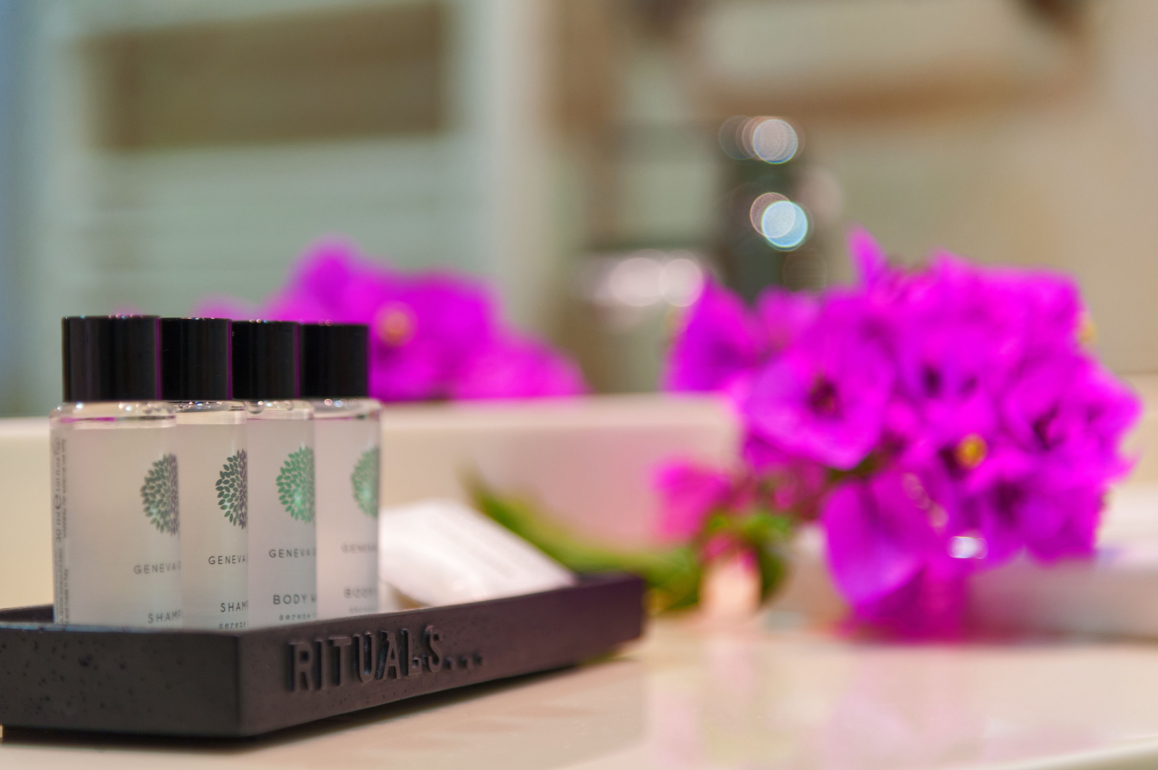 deep-soaking bathtub, free toiletries, hair dryer, towels