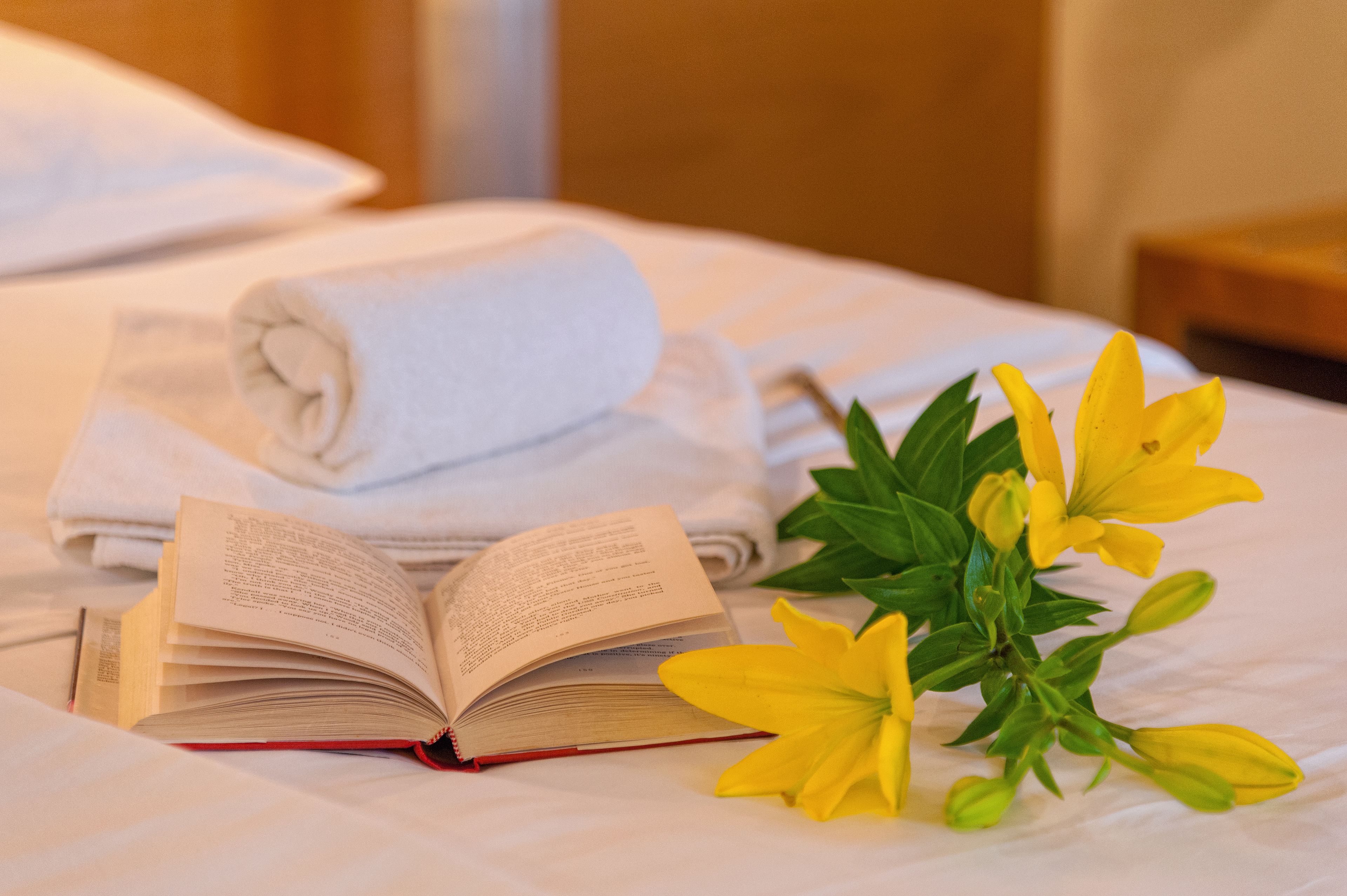 panoramic suite | room amenity