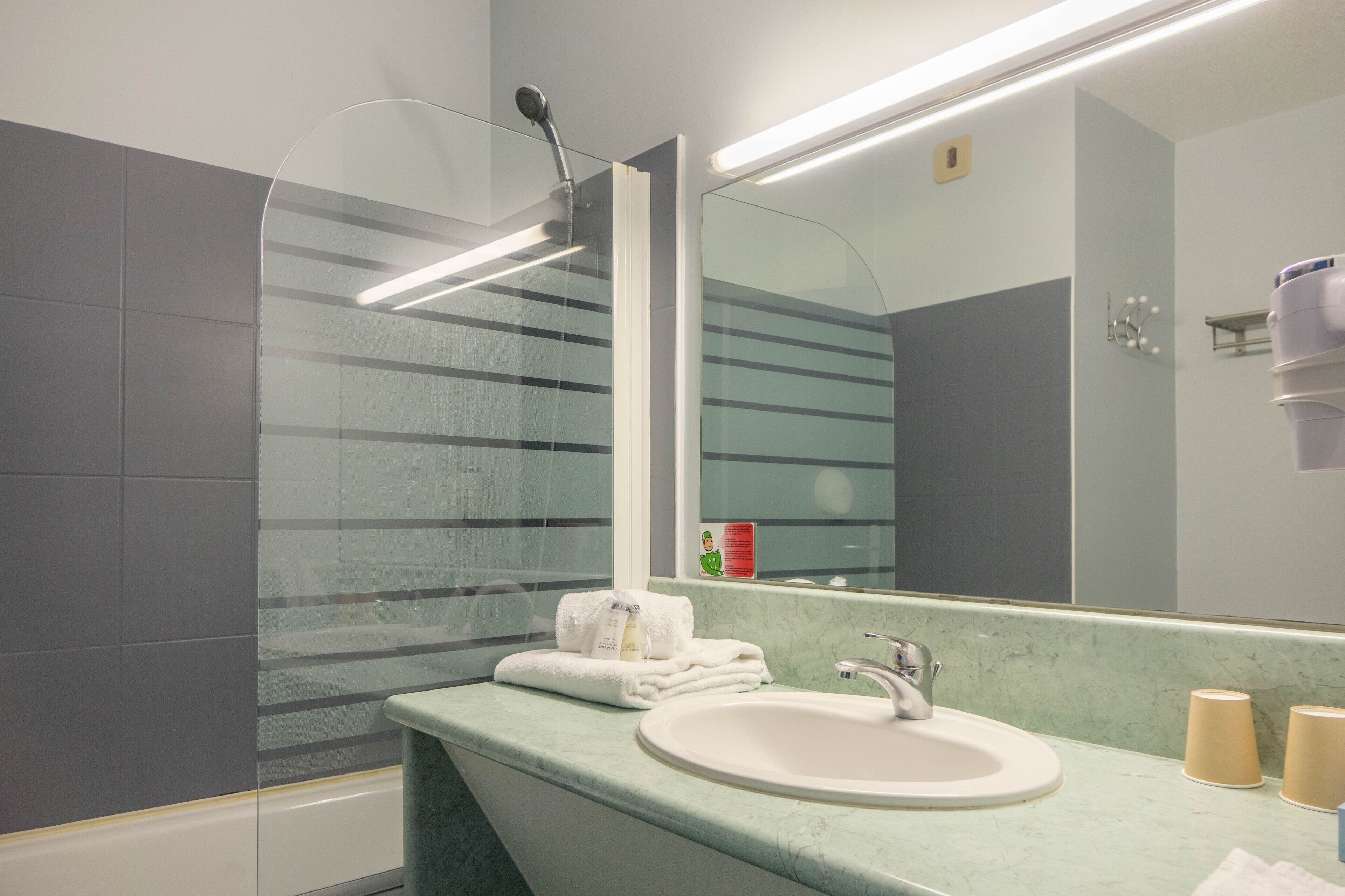 A modern bathroom with a glass shower enclosure, a white sink, and a large mirror.