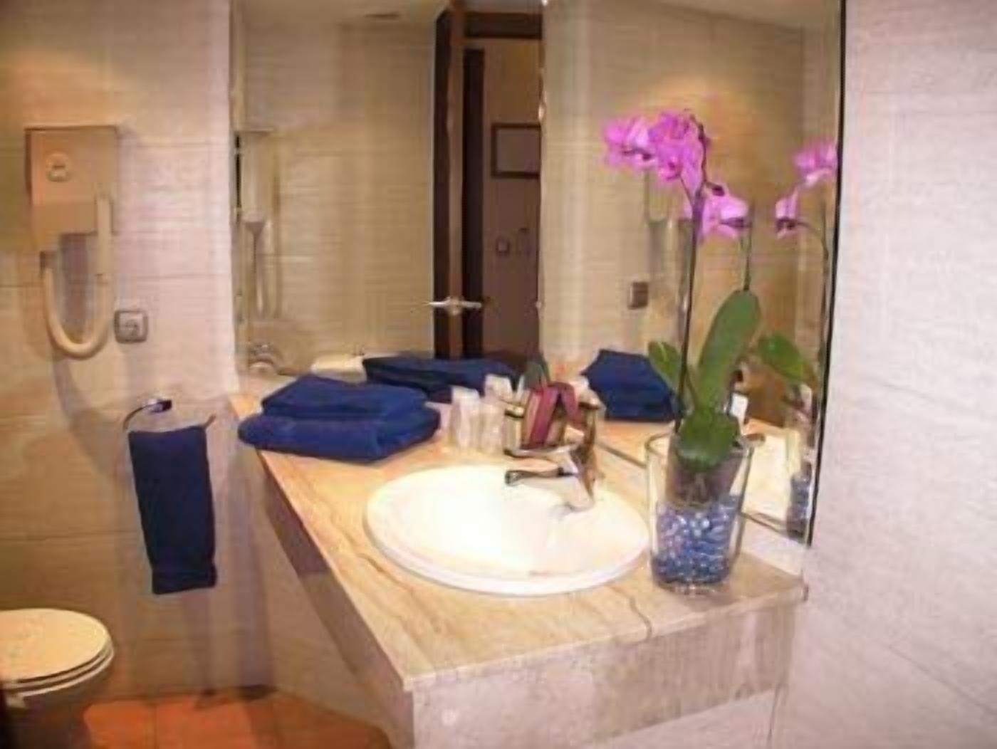 combined shower/bathtub, free toiletries, hair dryer, slippers