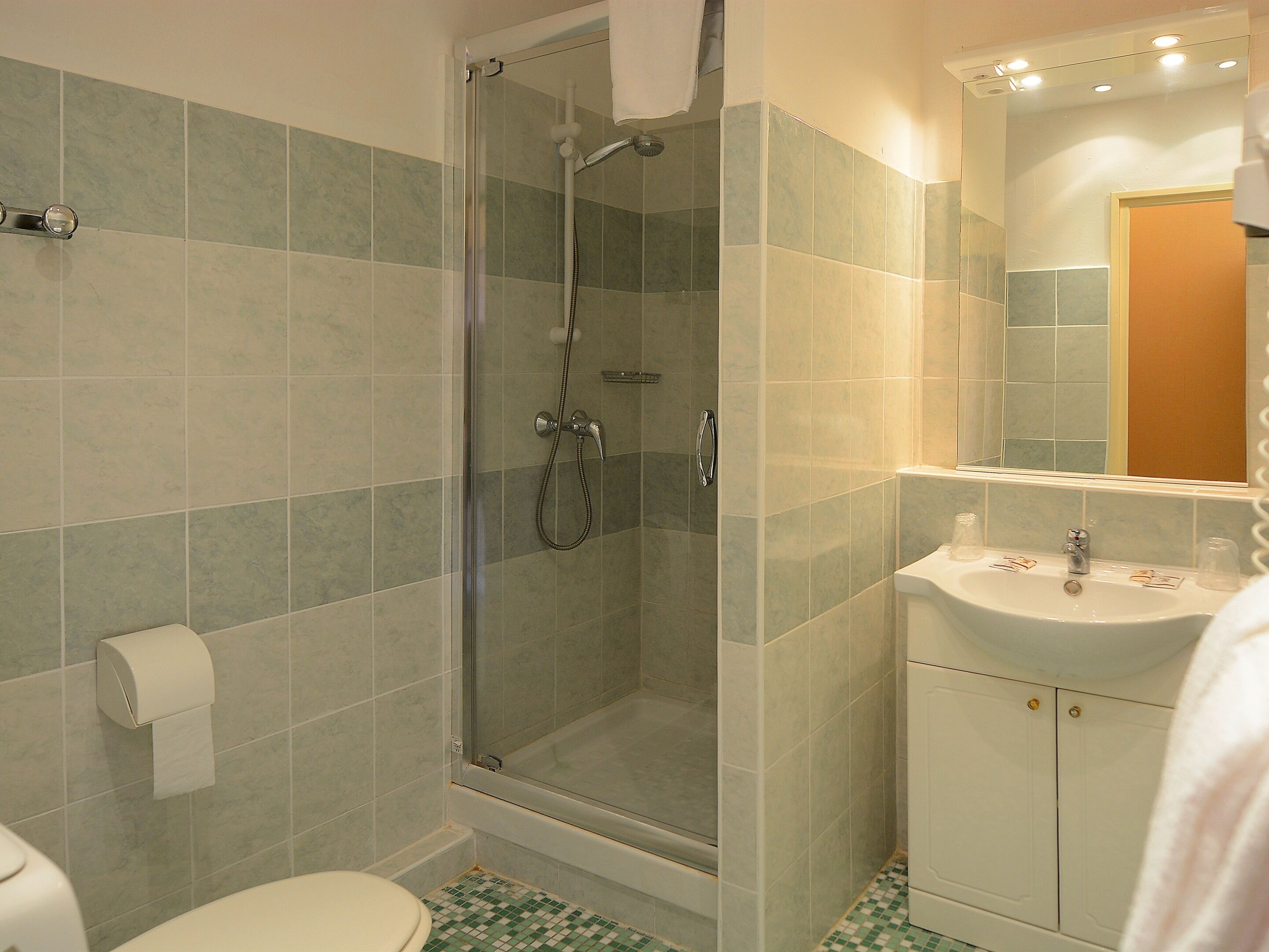 A bathroom with a glass-enclosed shower, a toilet, and a sink with a mirror above it.