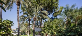 El Oasis