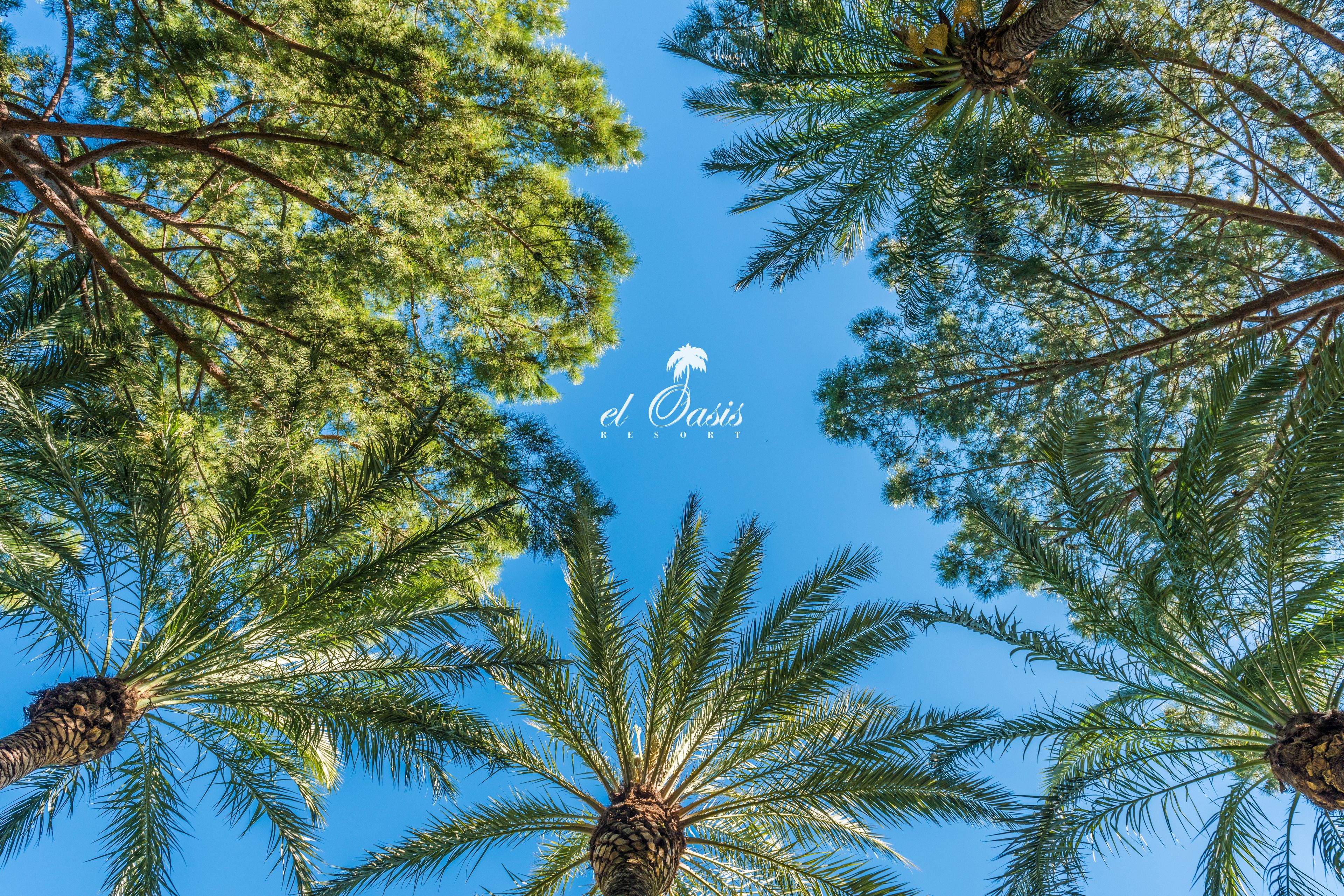 Foto - El Oasis Villa Resort