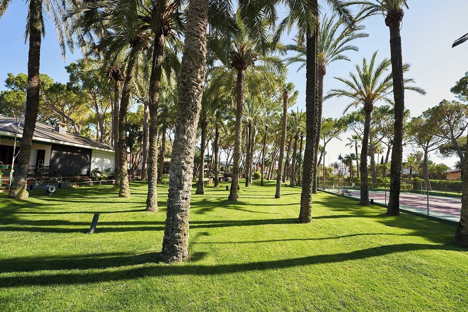 Photo - El Oasis Villa Resort