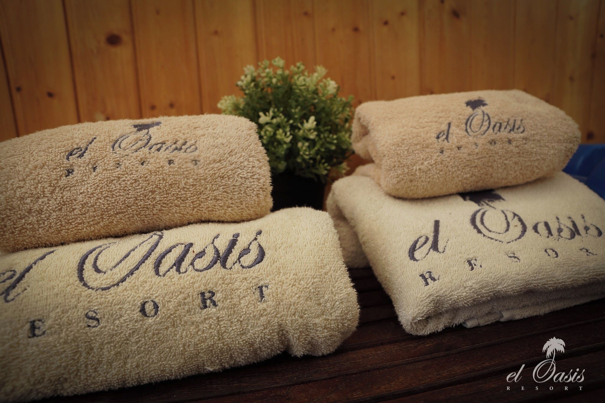 sauna, body treatments, body scrubs, facials, manicures and pedicures