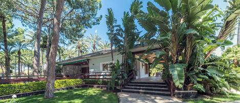 A resort with a wooden staircase leading to a covered entrance, surrounded by lush tropical vegetation.