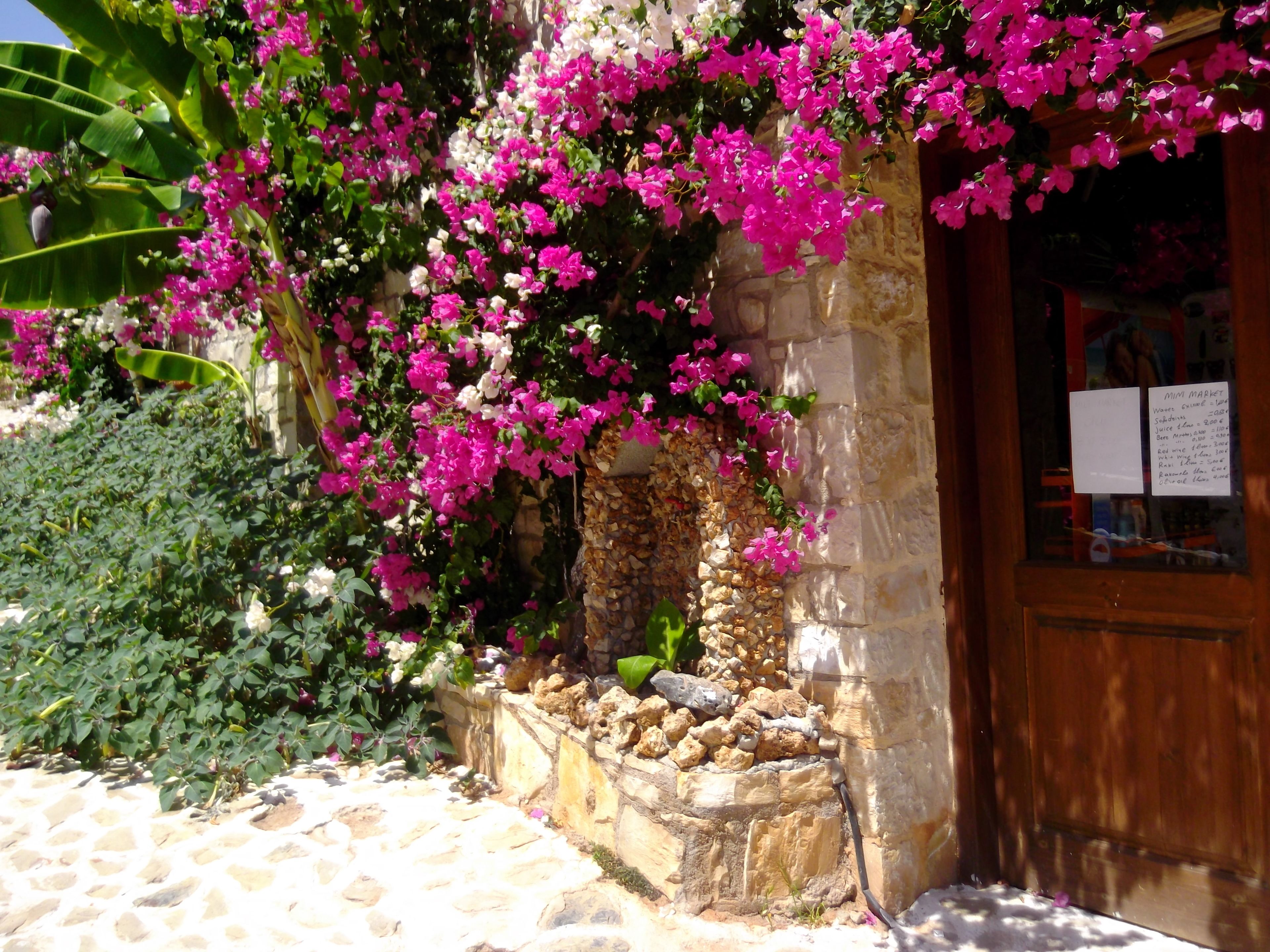 A stone building with a wooden door, pink bougainvillea flowers, and a stone wall with a small fountain.