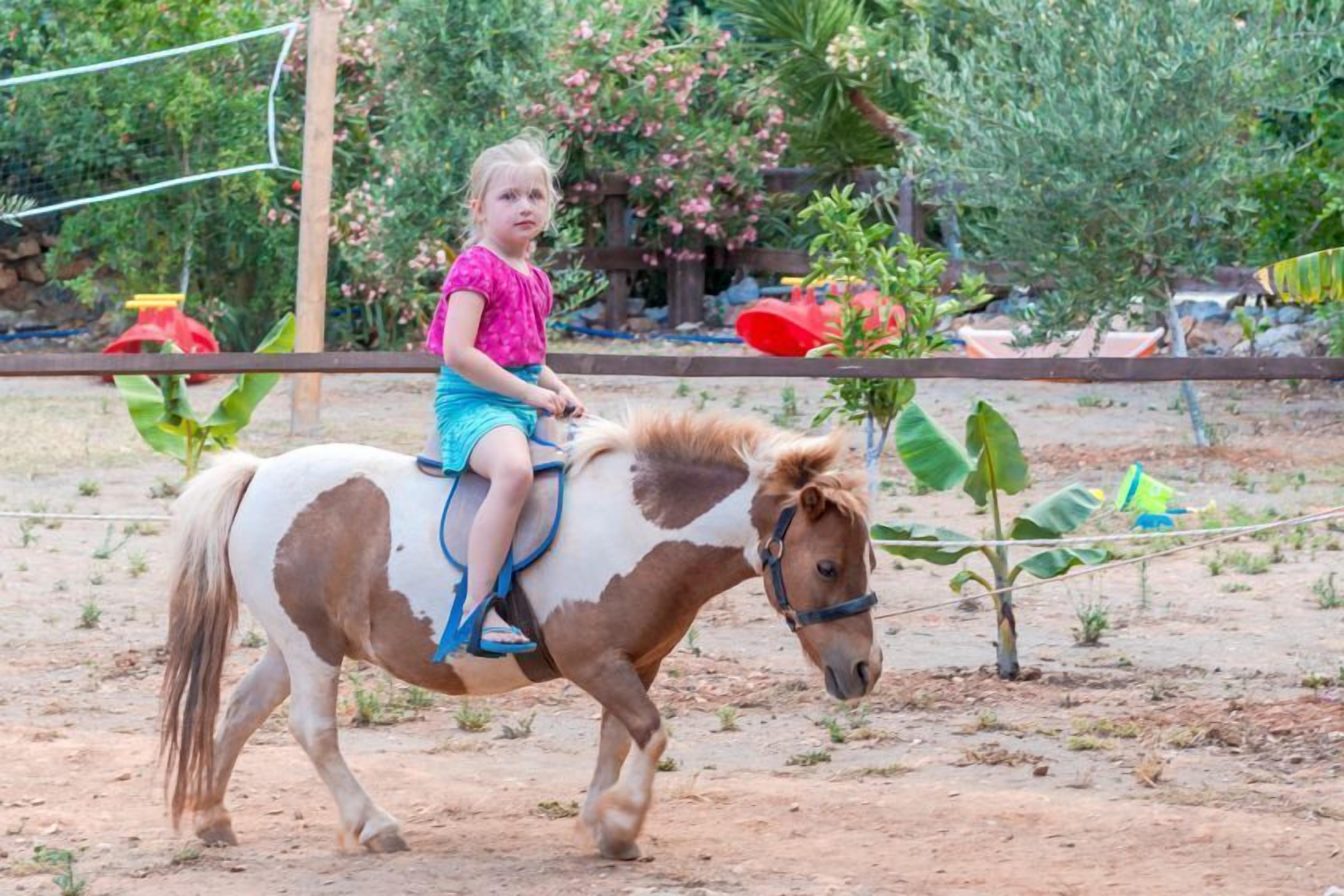 Een kind rijdt op een klein paard in een open gebied met een grond van aarde, omgeven door begroeiing en een houten omheining.