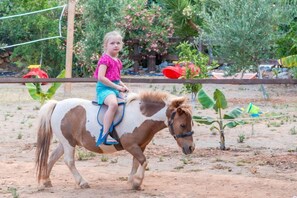 Activités pour enfants