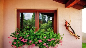 A window with a wooden frame and a hanging planter with green foliage and pink flowers. - Penzion Plesnivec (Poprad)