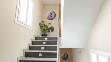 A staircase with numbered steps leading to a landing, a potted plant, and a door with a number plate.