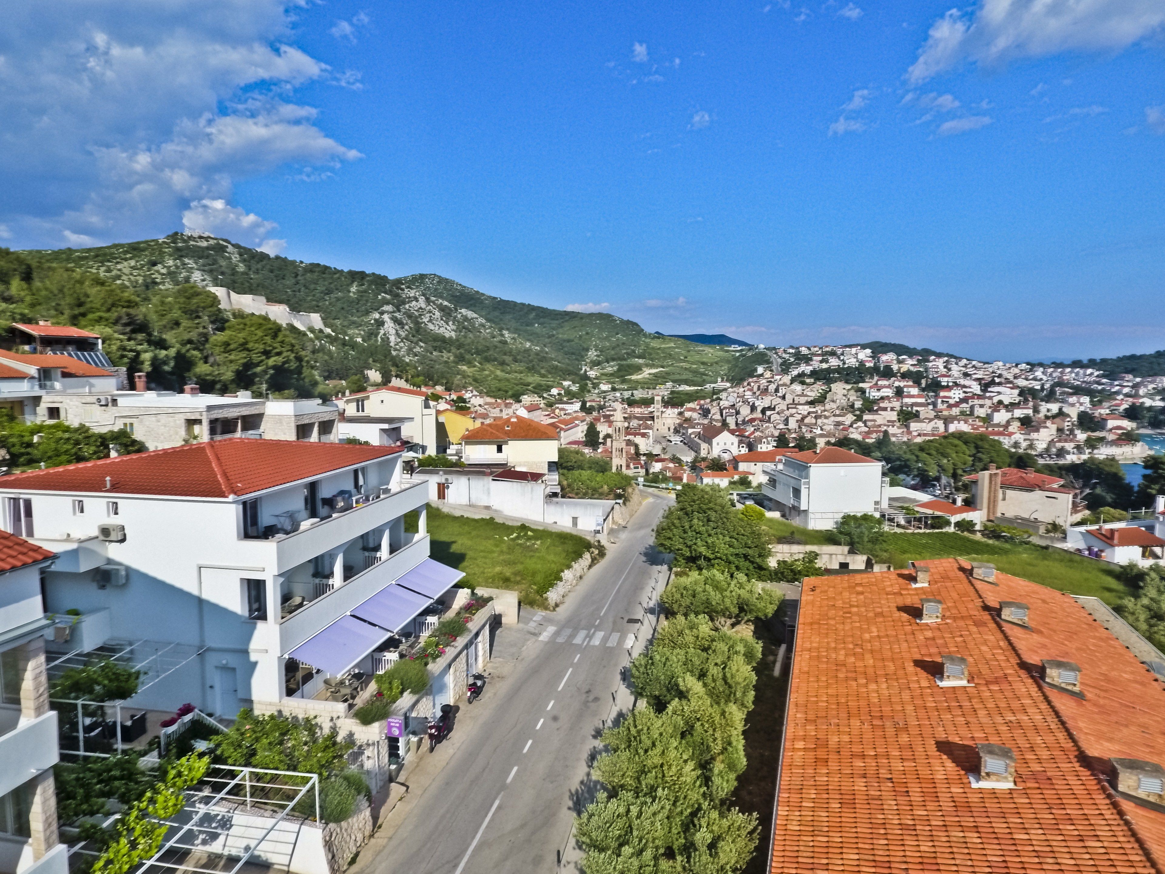 A residential area with buildings, a road, and a mountain in the background.