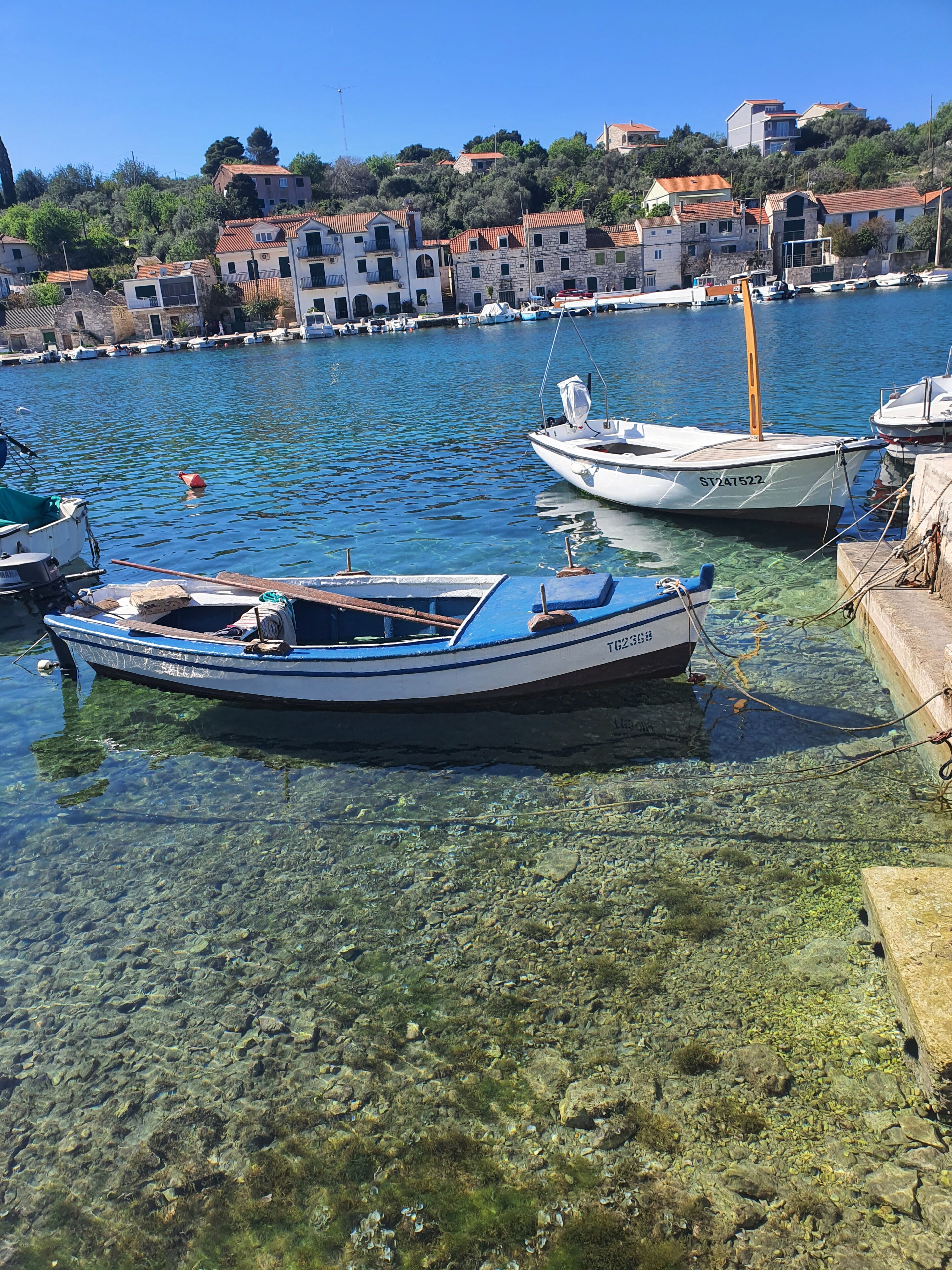 A marina with boats docked, clear water, and buildings in the background.