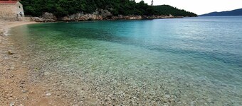 Violeta Hvar
