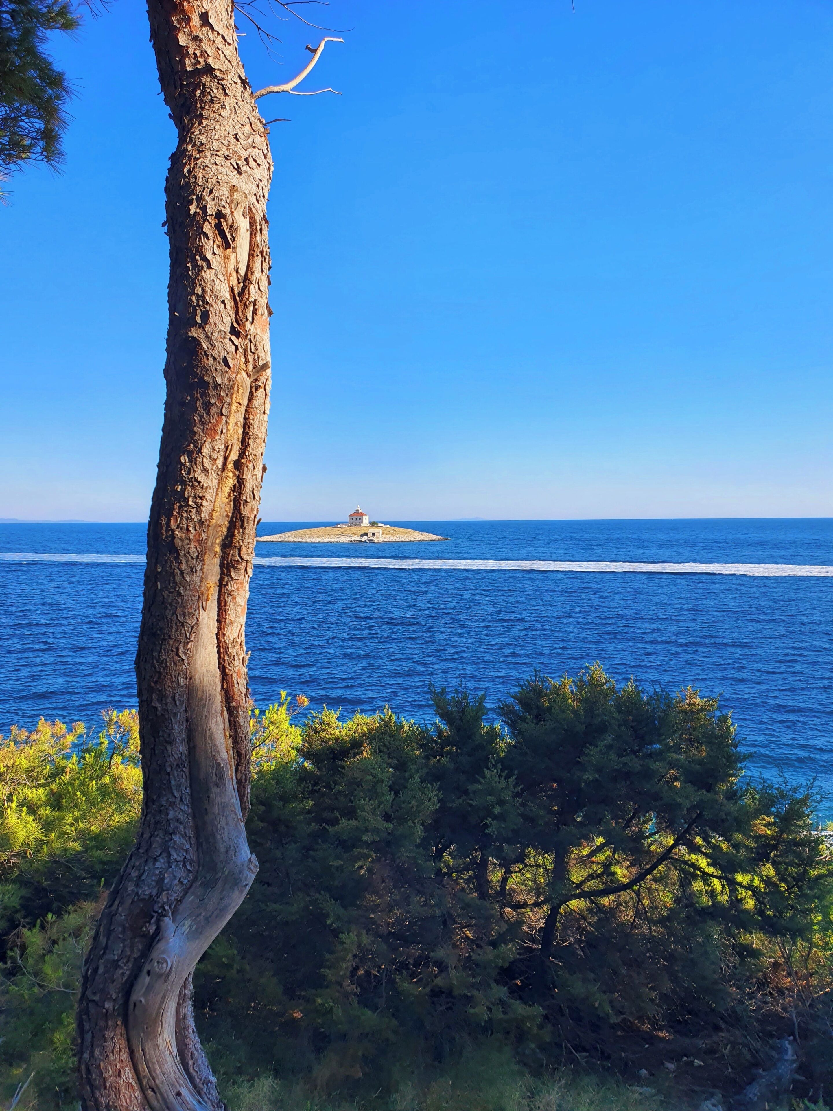 A coastal landscape with a tree trunk in the foreground, a small island with a building in the middle distance, and the ocean extending to the horizon.