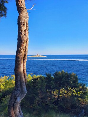 A coastal landscape with a tree trunk in the foreground, a small island with a building in the middle distance, and the ocean extending to the horizon.