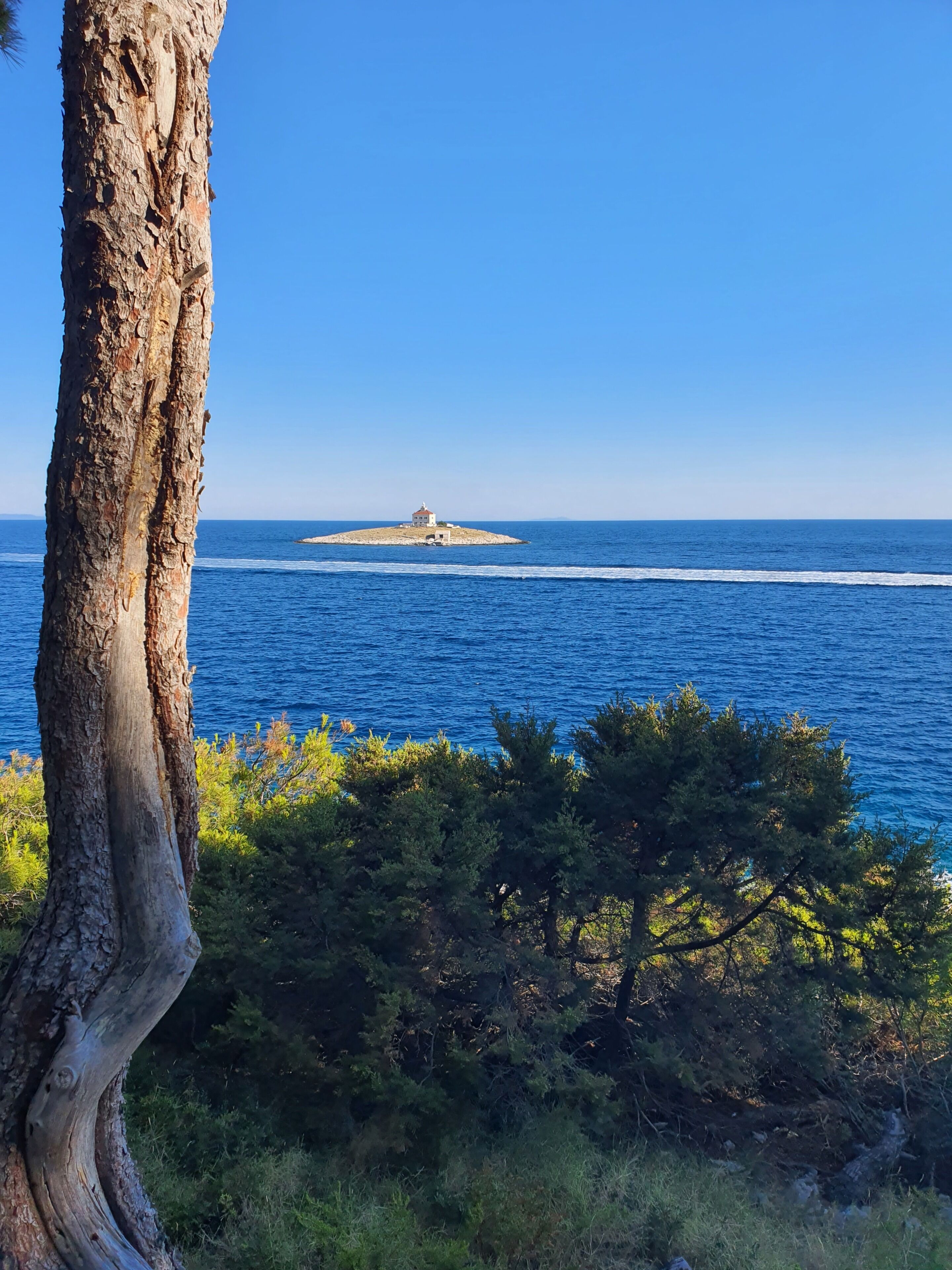 Un paisaje costero con un tronco de árbol en primer plano, una pequeña isla con un edificio a lo lejos y un cielo azul despejado.