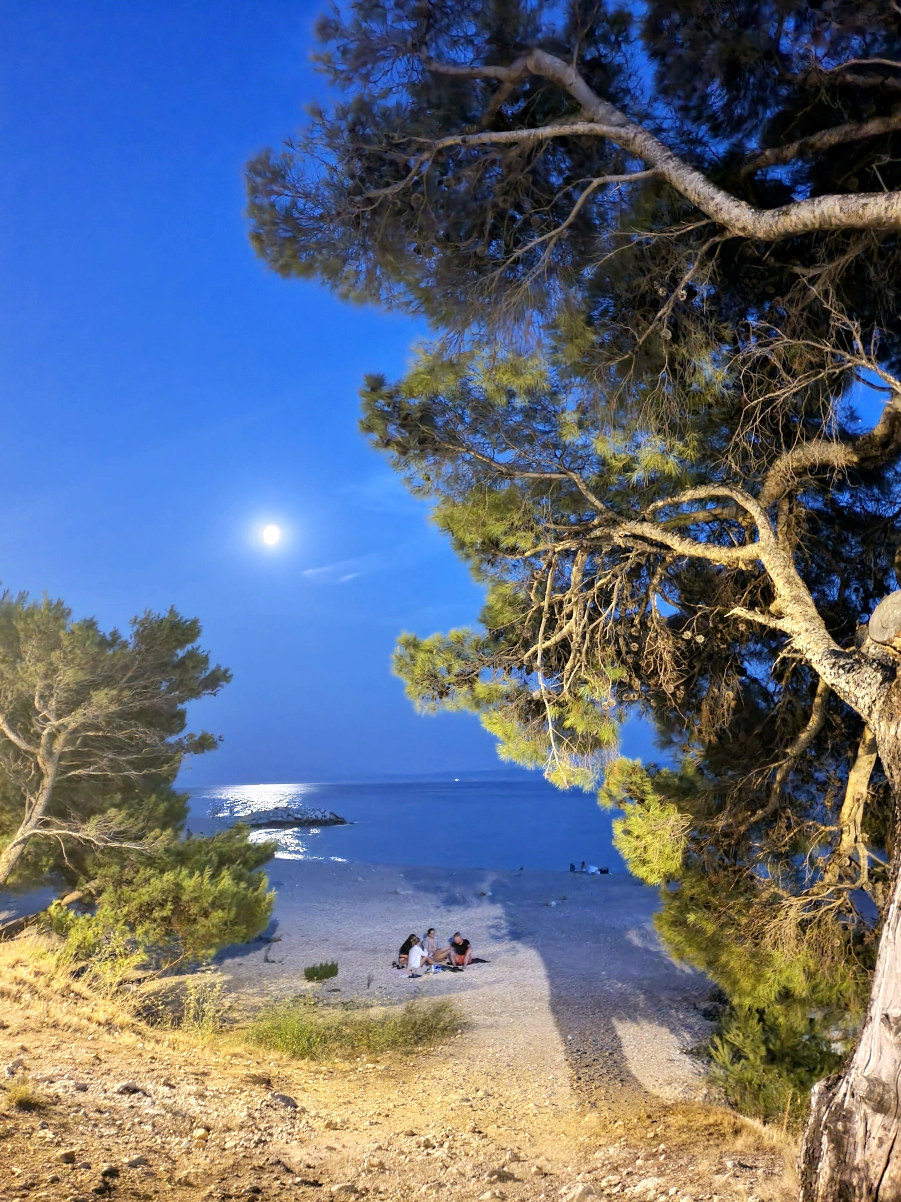 A beach scene with a clear sky, a visible moon, and a few people sitting on the sand.