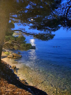 Una vista despejada de una playa con aguas tranquilas, una costa rocosa y un árbol en primer plano.