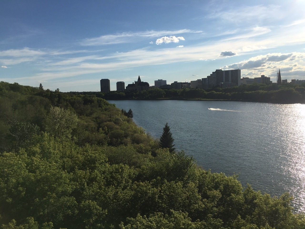 A city skyline across a body of water with dense greenery in the foreground.