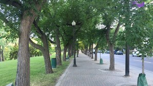 Un sendero pavimentado bordeado de árboles y bancos, que conduce a una calle con coches estacionados.