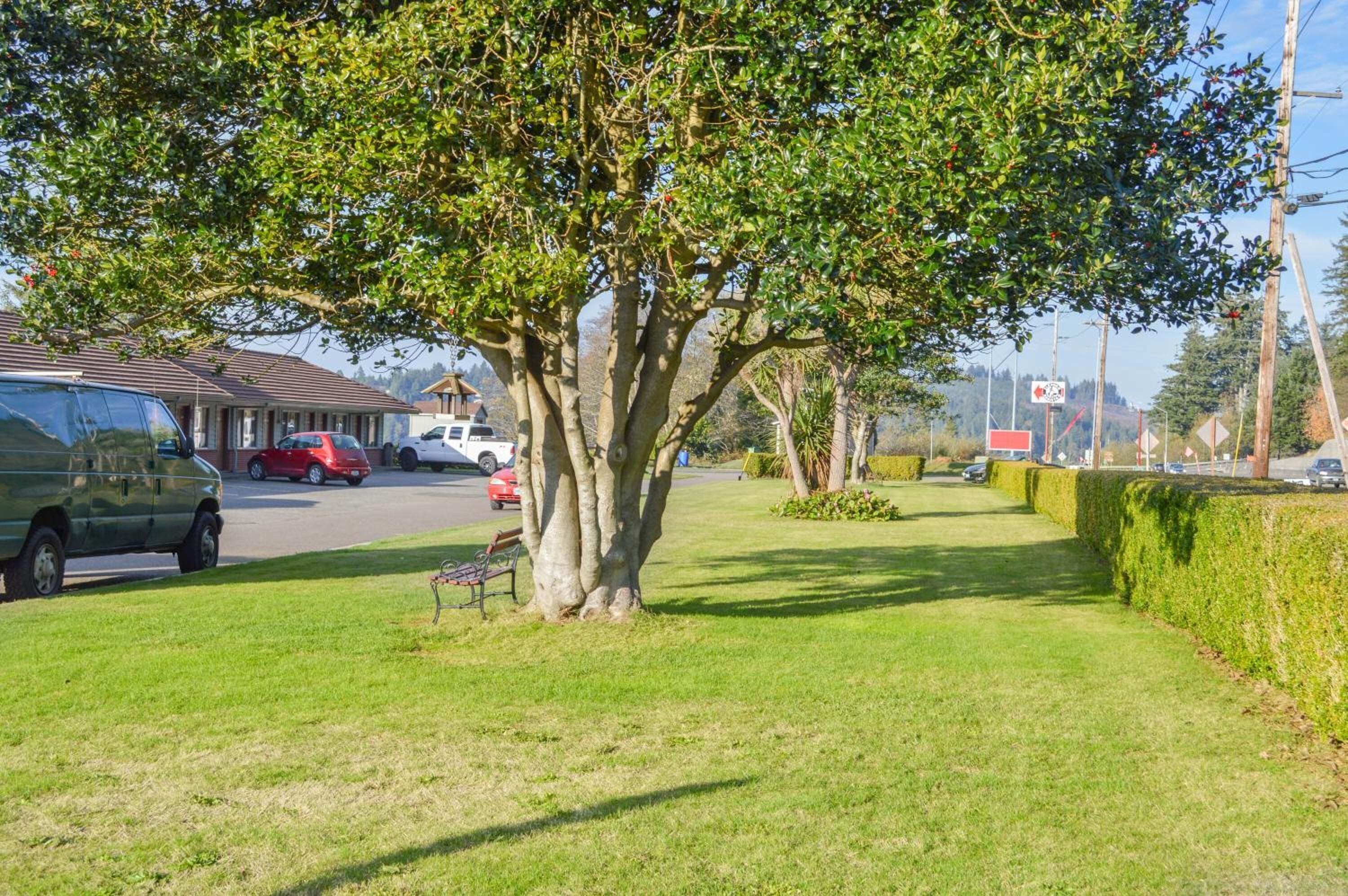 Una calle residencial con un árbol grande, coches estacionados y cielo despejado.