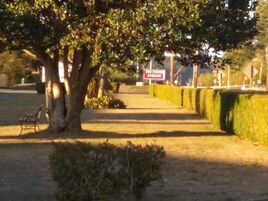 Un sendero bordeado de árboles, con un banco y una señal a lo lejos.