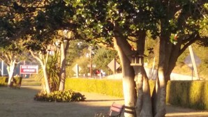 A park with a bench under a large tree, a hedge, and a sign in the background. - Bay Bridge Motel (North Bend)