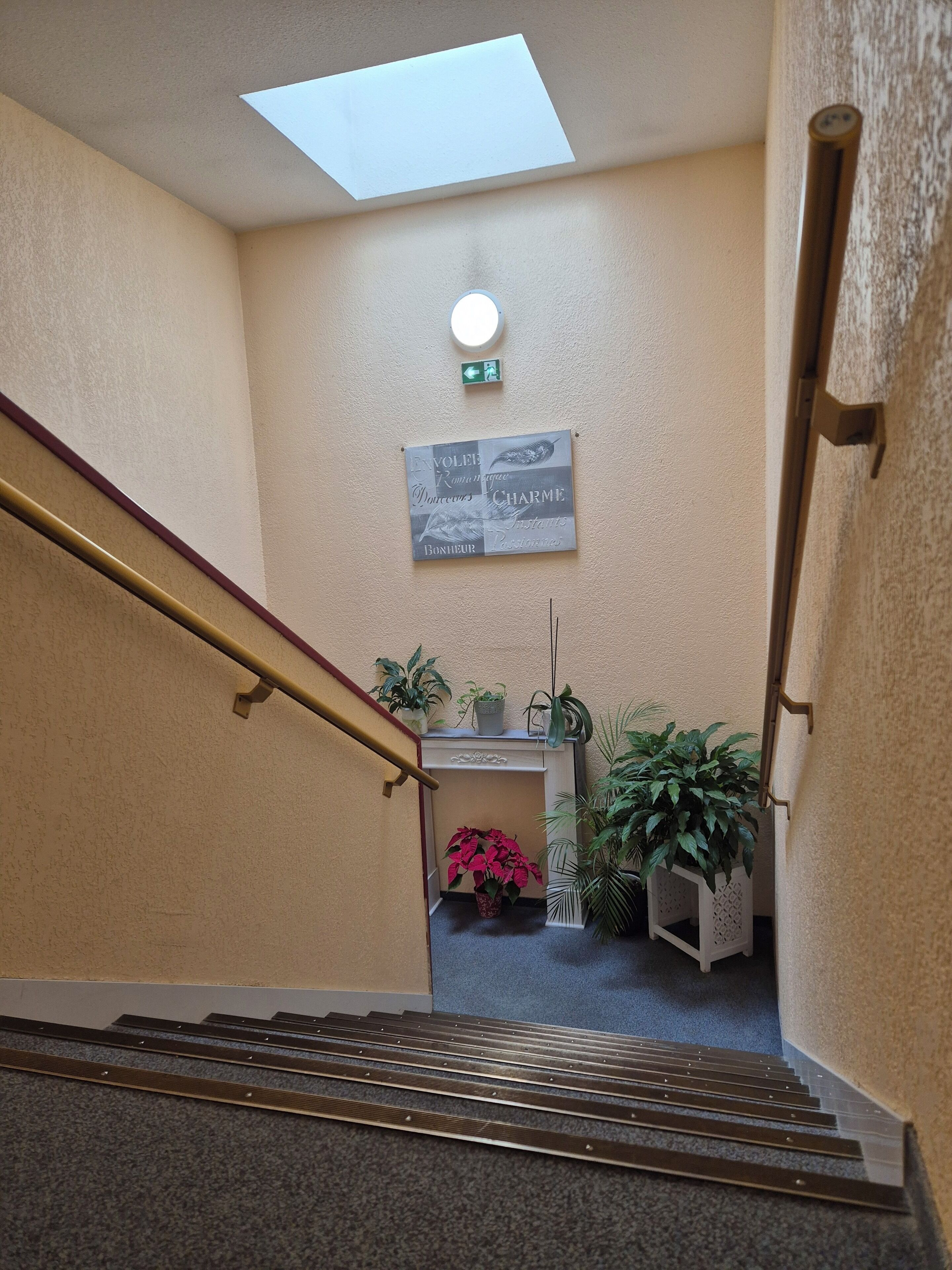Uma escadaria com corrimão, uma placa na parede e plantas em vasos.