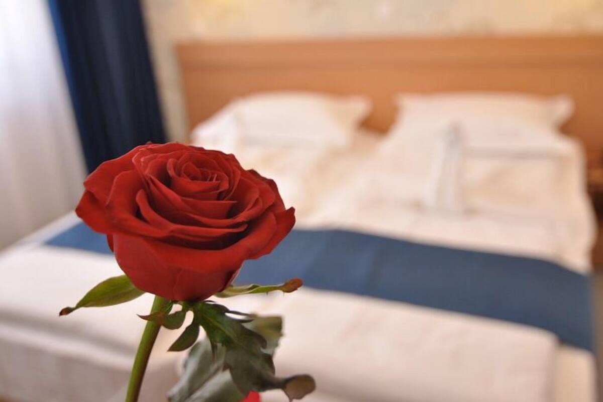 Eine einzelne rote Rose im Vordergrund, im Hintergrund ein Bett mit Kissen.