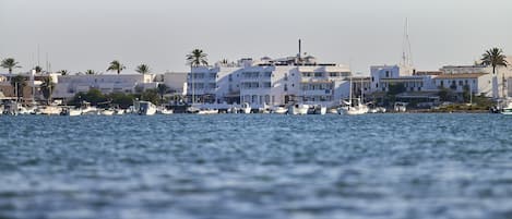 Eine Küstenstadt mit weißen Häusern, einem Hafen voller Boote und Palmen.
