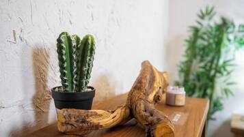 A cactus in a black pot on a wooden table with a rustic background.