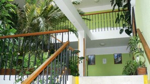 Un intérieur à plusieurs niveaux, avec un escalier, des murs verts et diverses plantes en pot.