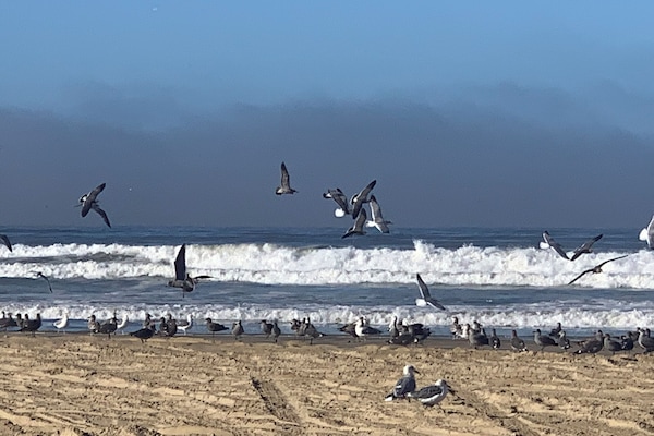 Beach nearby