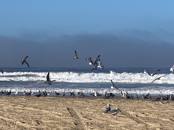 Beach nearby