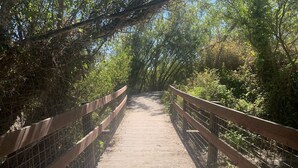 A wooden pedestrian bridge with metal railings, surrounded by dense foliage.