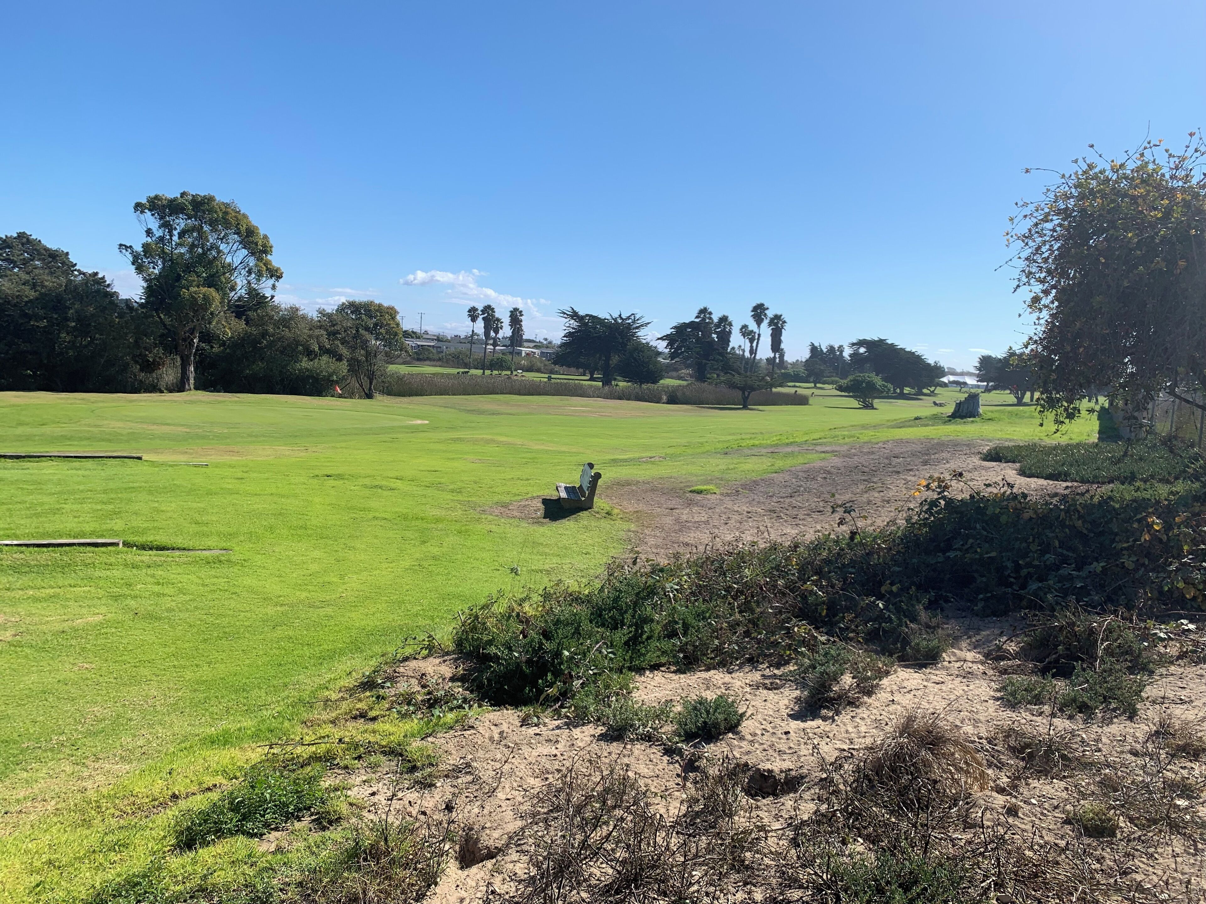 Ein Golfplatz mit einer Bank, Bunker und Bäumen.