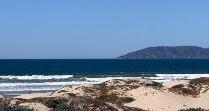 Dune Surfer Inn