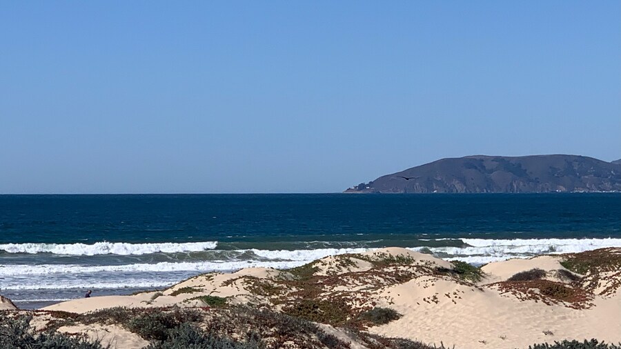 Dune Surfer Inn