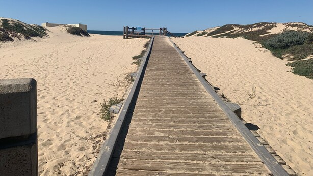 A wooden boardwalk leading to a beach with dunes and a clear blue sky.