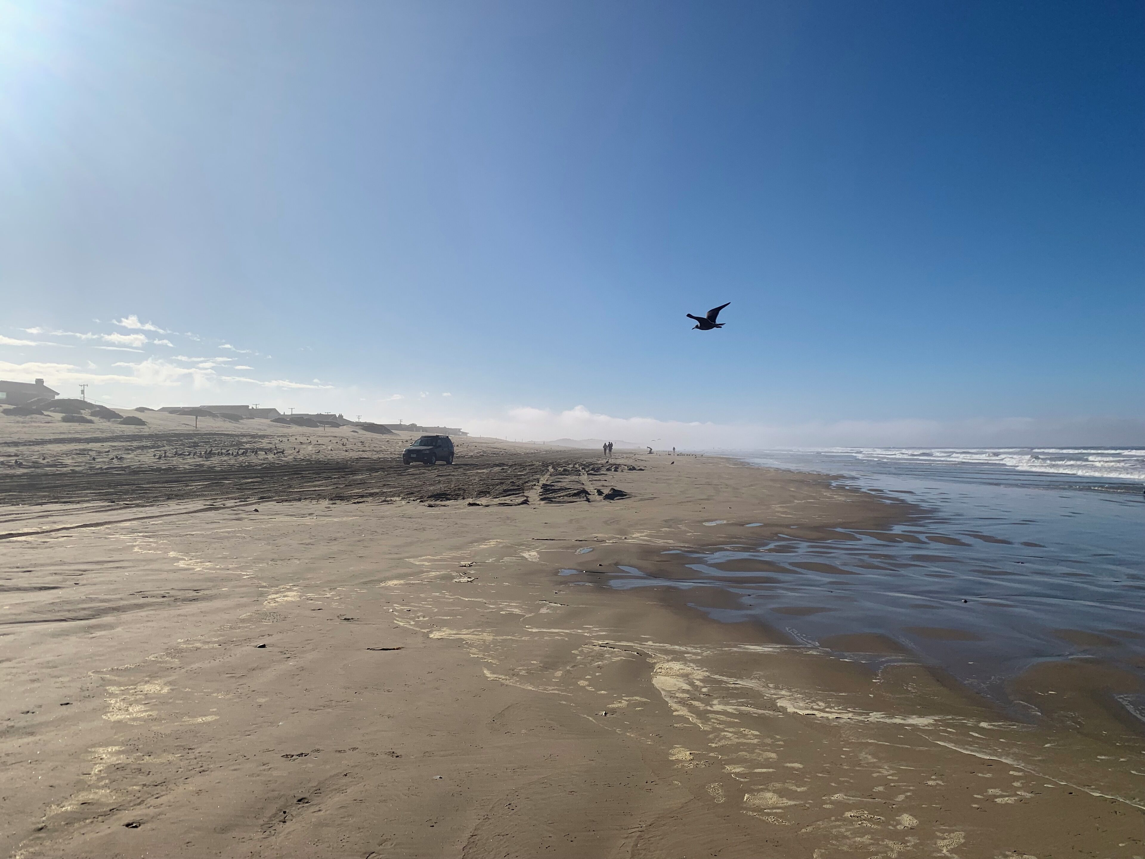 Una playa con arena, olas y cielo despejado.