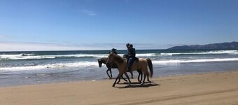 Dune Surfer Inn