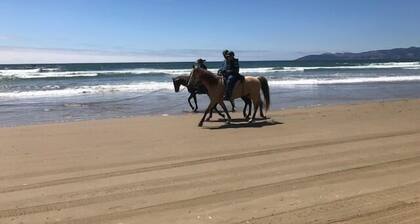 Dune Surfer Inn