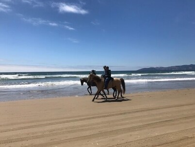 Dune Surfer Inn
