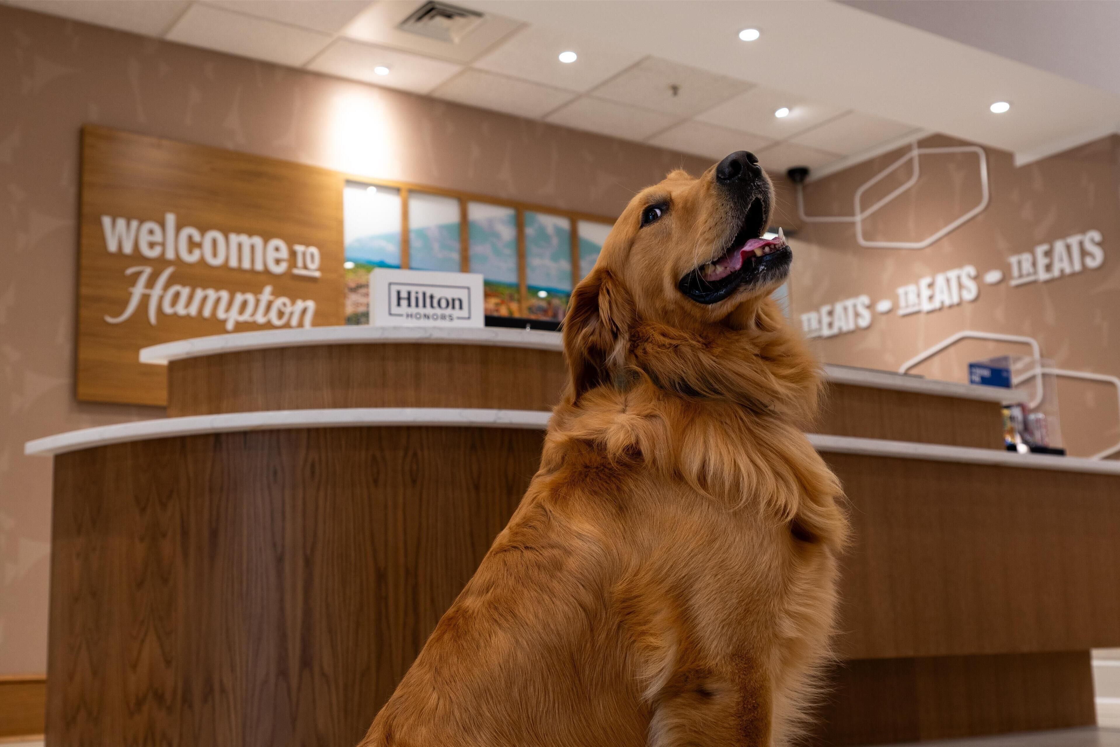 Photo - Hampton Inn & Suites Knoxville-Turkey Creek Farragut