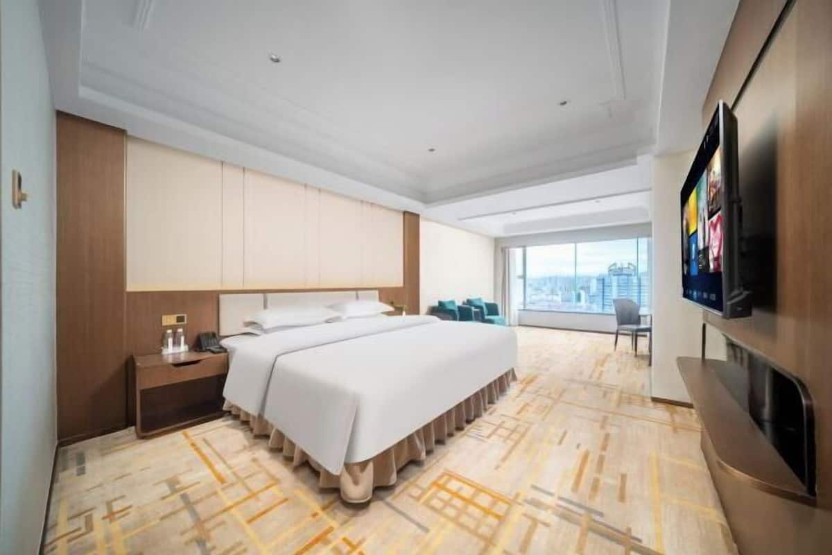 A hotel room with a large bed, a flat-screen TV mounted on the wall, and a view of the city through the window.