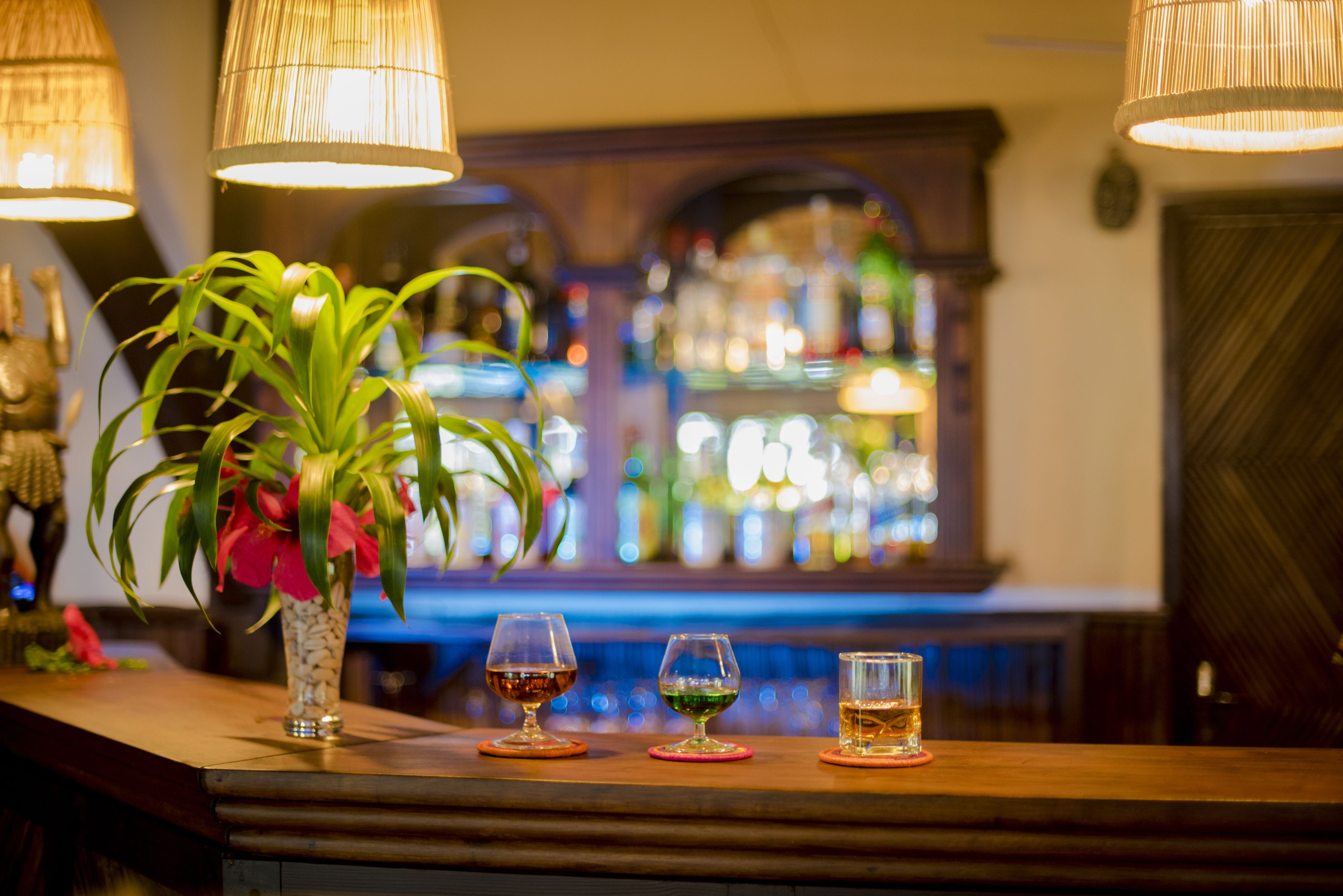 Zona de bar amb una planta en un vas, tres gots sobre safates i una barra plena de botelles.