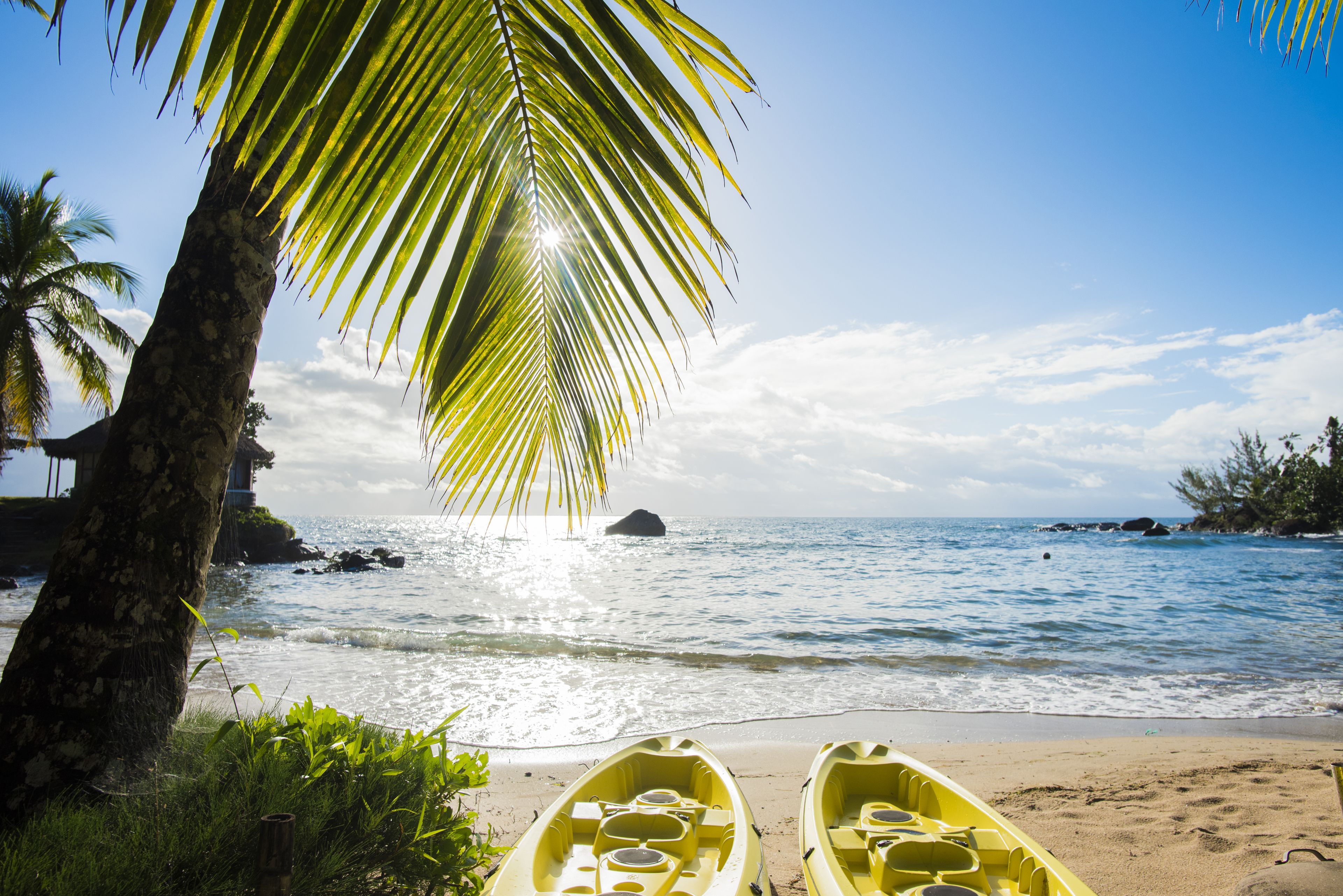 Two yellow kayaks on a sandy beach with palm trees and a clear blue sky.